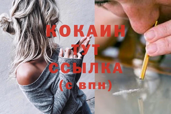2c-b Надым